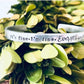 It’s fine I’m fine everything is fine hand stamped bracelet introvert gift sarcastic bracelet fun gift birthday gift for her I’m fine